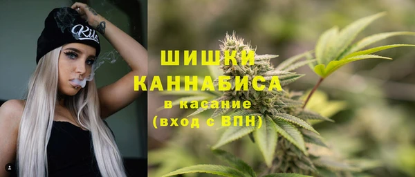 молекула духа Козловка