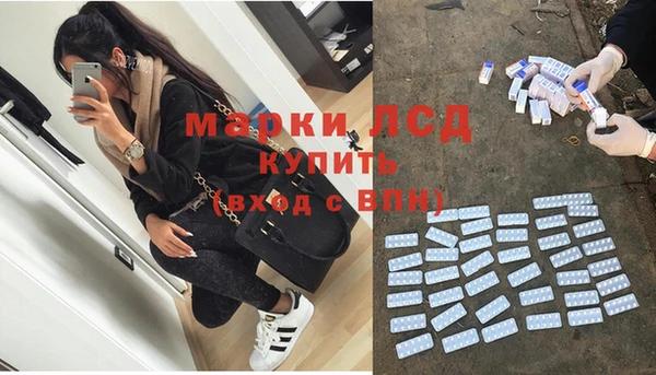 молекула духа Козловка