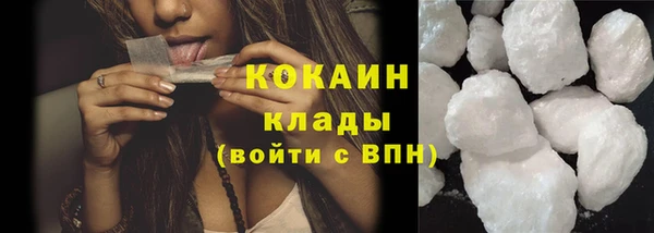 молекула духа Козловка