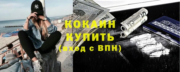 молекула духа Козловка
