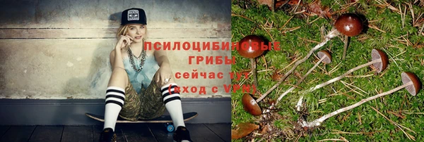 spice Кодинск