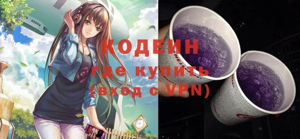 молекула духа Козловка