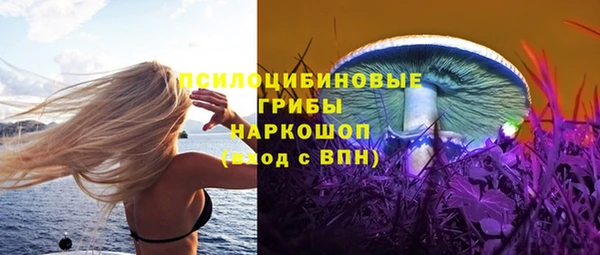молекула духа Козловка